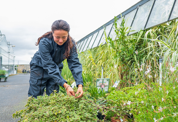 groupe-institut-genech-carousel-1