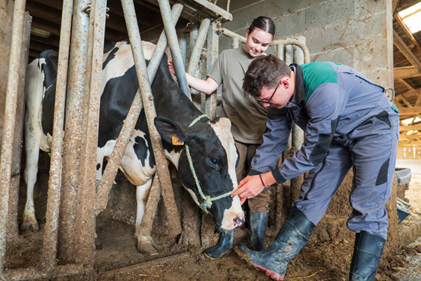 groupe-institut-genech-carousel-3